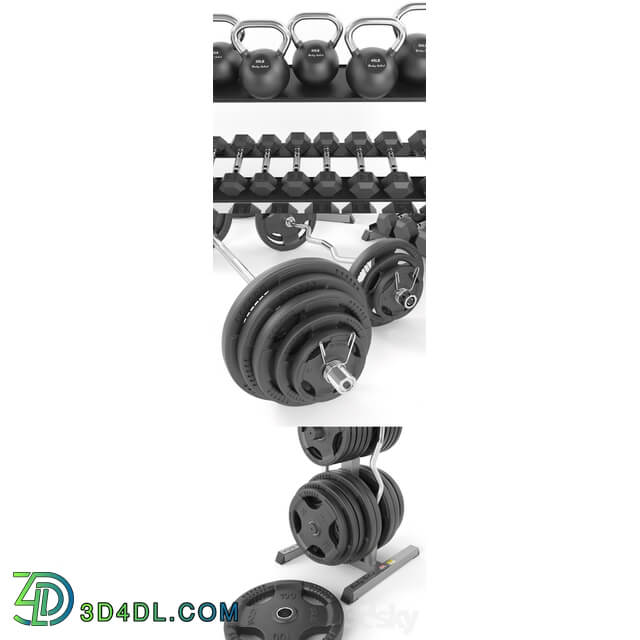 A set of weights for the gym from BodySolid