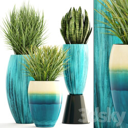 Collection of plants. Pot flowerpot street decor landscape design bush grass sansevieria turquoise interior decorative Chlorophytum 3D Models 