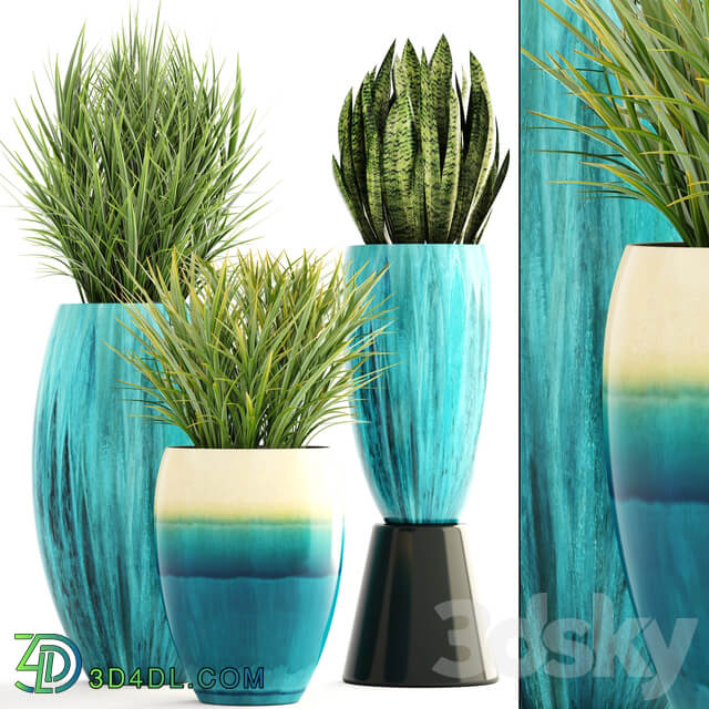 Collection of plants. Pot flowerpot street decor landscape design bush grass sansevieria turquoise interior decorative Chlorophytum 3D Models