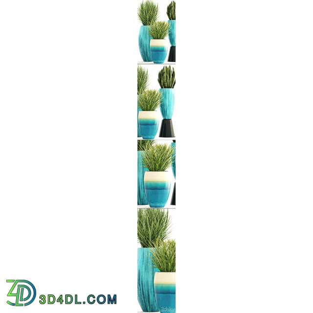 Collection of plants. Pot flowerpot street decor landscape design bush grass sansevieria turquoise interior decorative Chlorophytum 3D Models