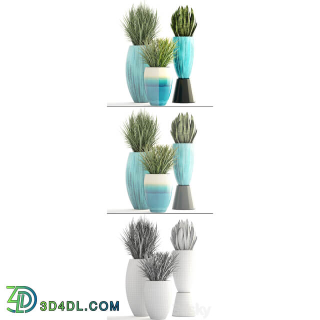 Collection of plants. Pot flowerpot street decor landscape design bush grass sansevieria turquoise interior decorative Chlorophytum 3D Models