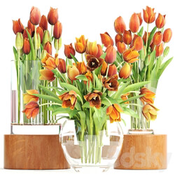 Set of spring bouquets 3. Tulips flower orange vase spring flowers 3D Models 