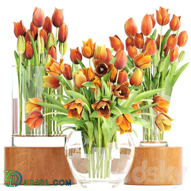 Set of spring bouquets 3. Tulips flower orange vase spring flowers 3D Models