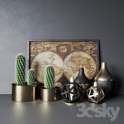 Decorative set with cactuses 