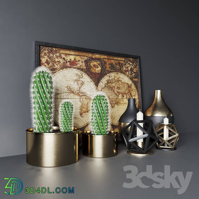 Decorative set with cactuses