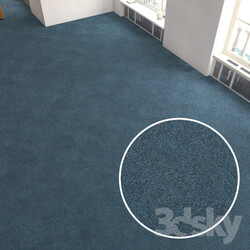 Carpet covering 224 