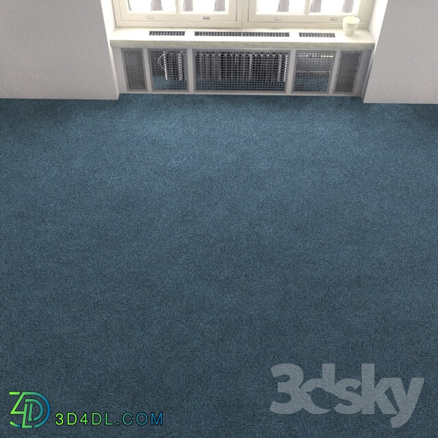 Carpet covering 224