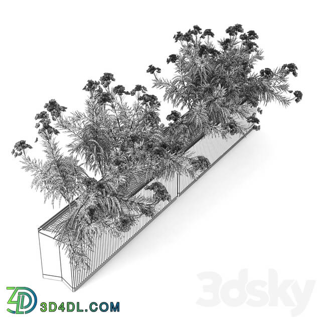 Flowerbed Nerium 3D Models