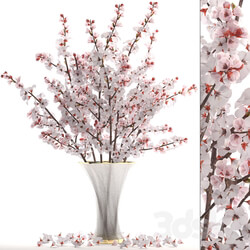 Bouquet of white flowers 24.Bouquet of cherry blossoms sakura branches vase decor white 3D Models 