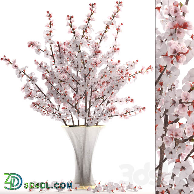 Bouquet of white flowers 24.Bouquet of cherry blossoms sakura branches vase decor white 3D Models