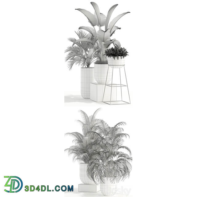 Plants collection 110 3D Models