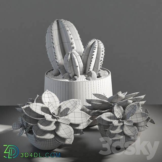 Set of plants 01 3D Models