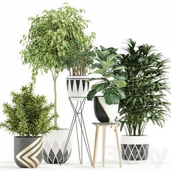 Plants collection 112 3D Models 