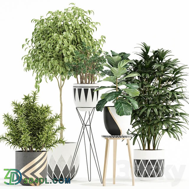 Plants collection 112 3D Models