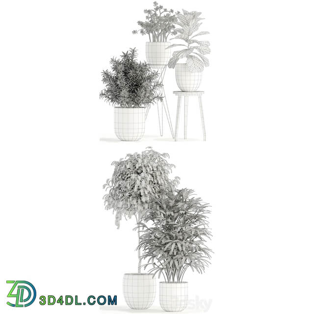 Plants collection 112 3D Models