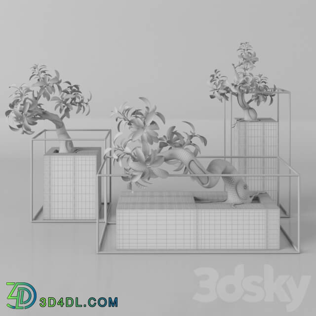 Plants tree 33 bonsai 3D Models