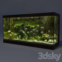 Aquarium 3D Models 