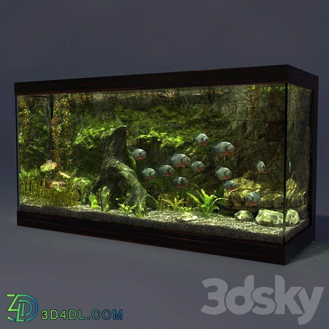 Aquarium 3D Models