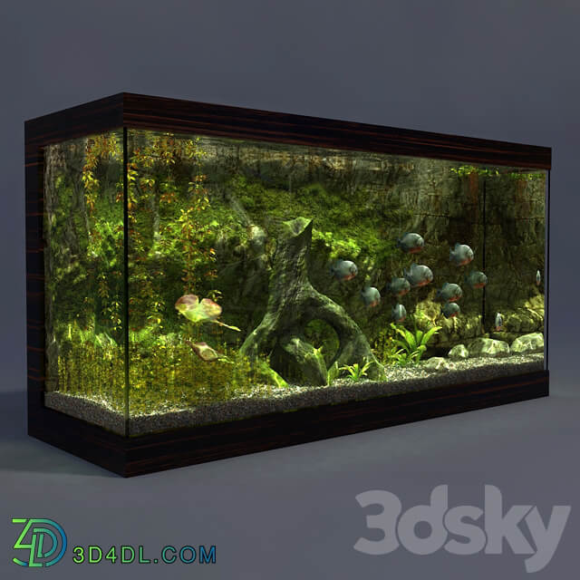 Aquarium 3D Models