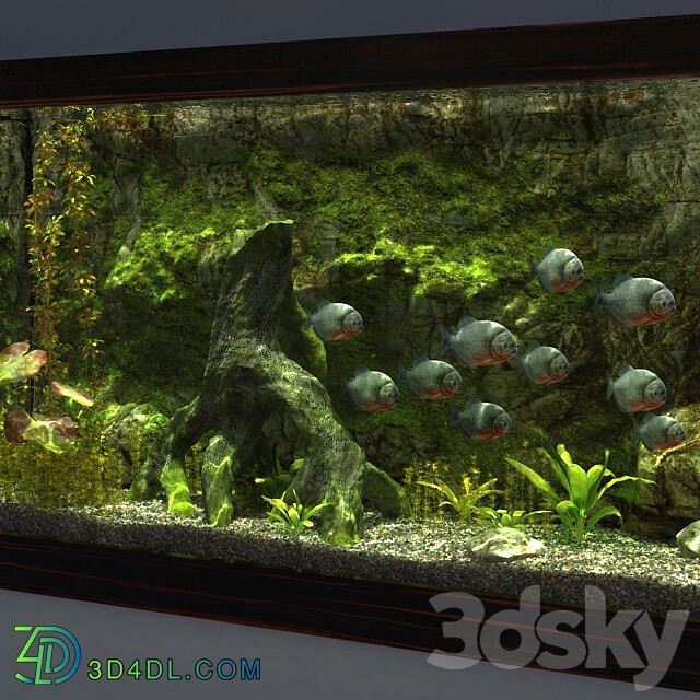 Aquarium 3D Models