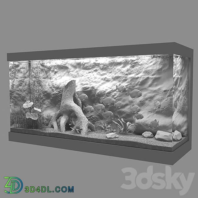 Aquarium 3D Models