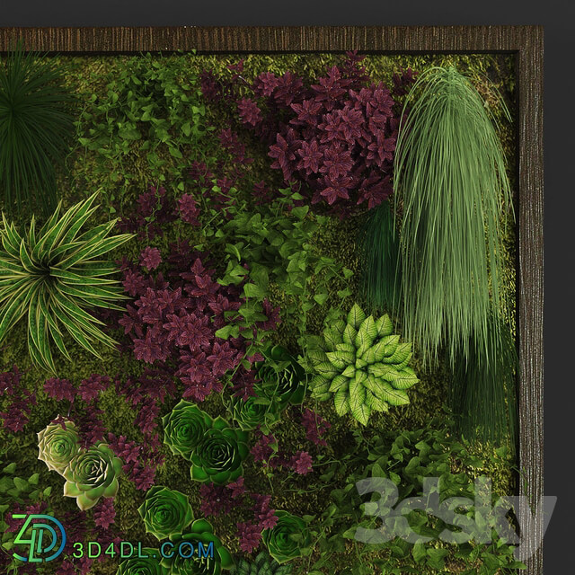 Fitowall Vertical gardening 04