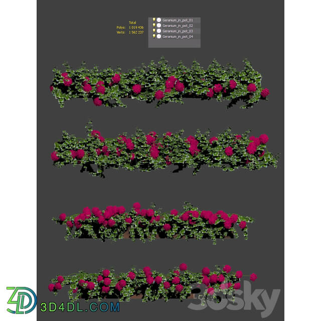 Plant Geranium Facade v2 3D Models