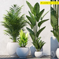 plants 208 