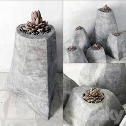 Succulent rock vase Other 3D Models 