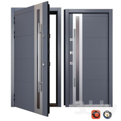 Entrance metal door Inox S 2 Your Frame  