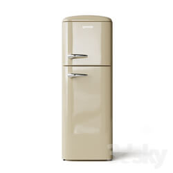 Refrigerator Gorenje RF 60309 