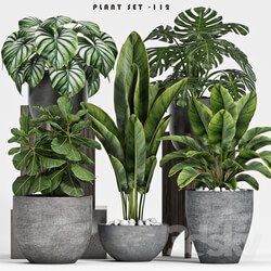 plant set 112 