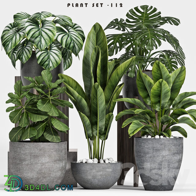 plant set 112