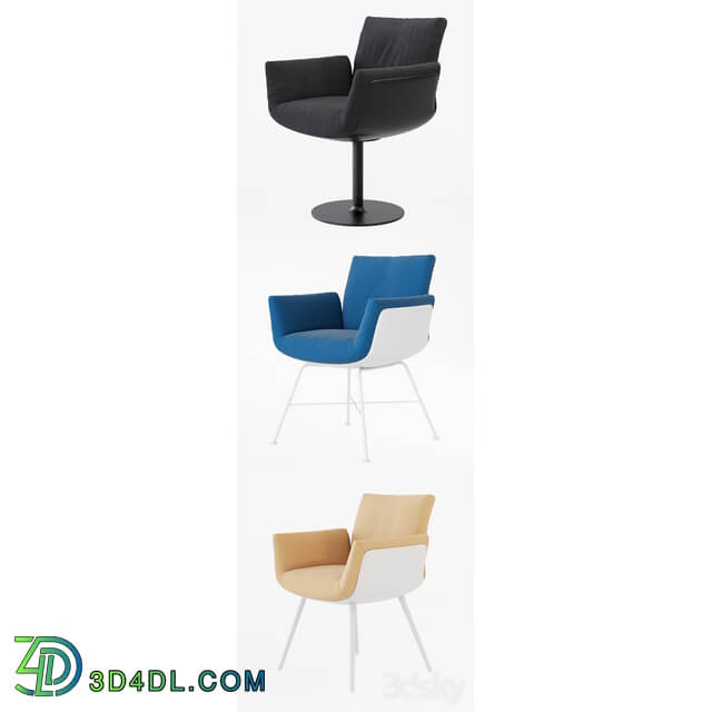 COR Alvo Chair