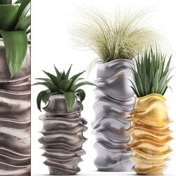 Plant collection 289. luxury flowerpot pot grass agave interior plants luxury decor 3D Models 