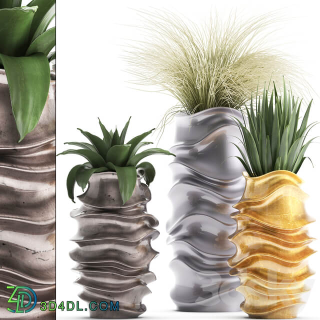 Plant collection 289. luxury flowerpot pot grass agave interior plants luxury decor 3D Models