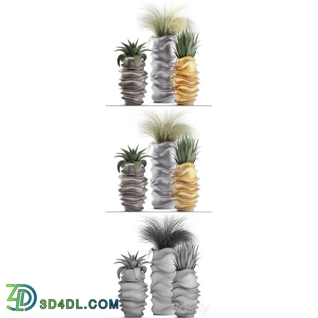 Plant collection 289. luxury flowerpot pot grass agave interior plants luxury decor 3D Models