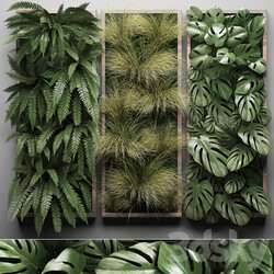 Vertical garden 29. Phytowall picture grass fern monstera wall decor phytomodule vertical garden Fitowall 3D Models 