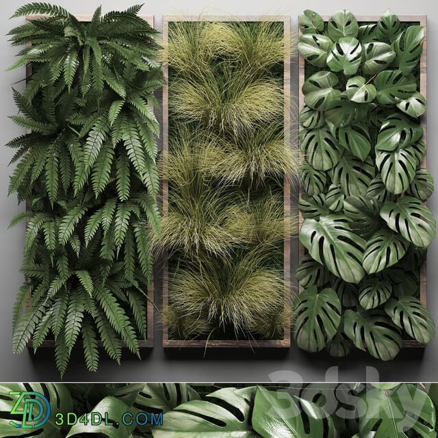 Vertical garden 29. Phytowall picture grass fern monstera wall decor phytomodule vertical garden Fitowall 3D Models