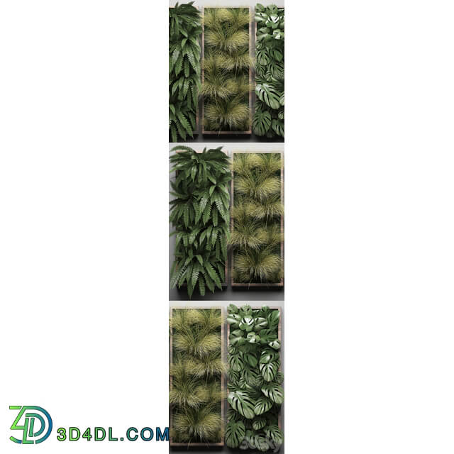 Vertical garden 29. Phytowall picture grass fern monstera wall decor phytomodule vertical garden Fitowall 3D Models