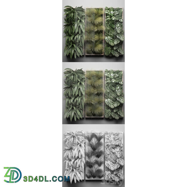 Vertical garden 29. Phytowall picture grass fern monstera wall decor phytomodule vertical garden Fitowall 3D Models