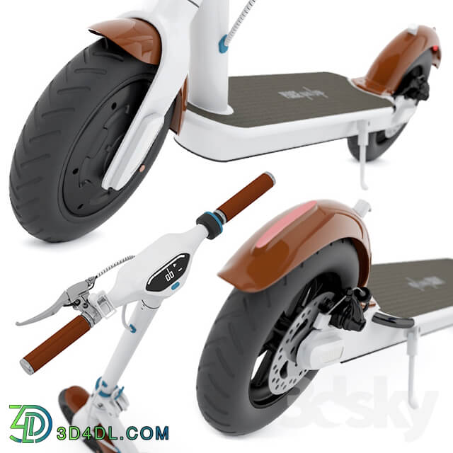 Electric Scooter