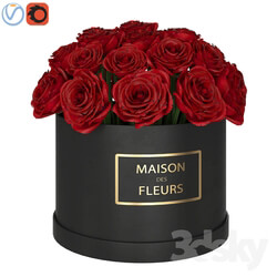 Red roses in box 