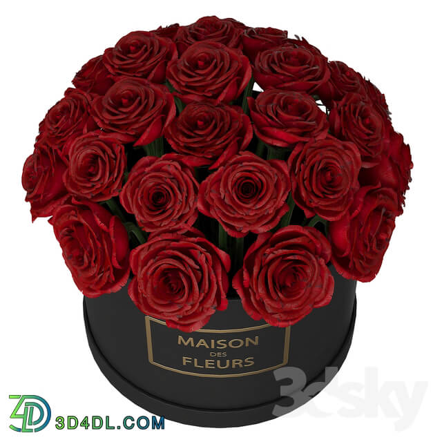 Red roses in box