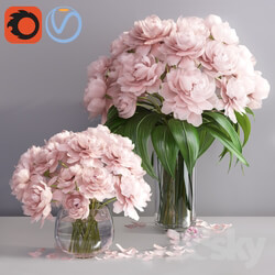 pastel pink peonies in 2 vases 