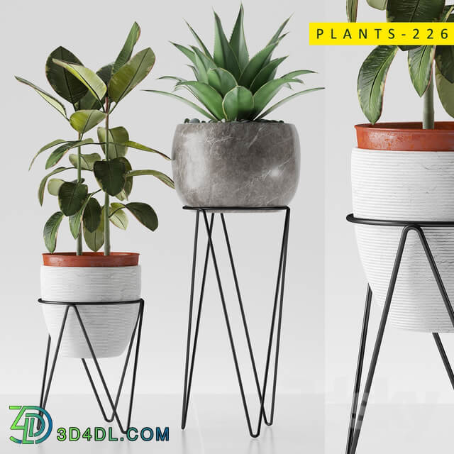 plants 226