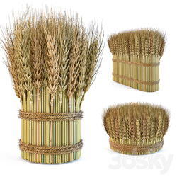 Decorative sheaves of wheat ears 2 3D Models 