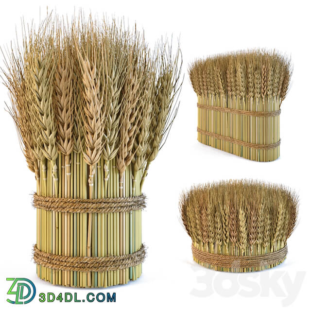 Decorative sheaves of wheat ears 2 3D Models