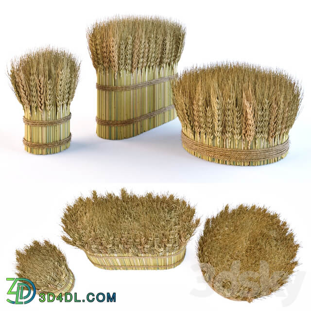 Decorative sheaves of wheat ears 2 3D Models