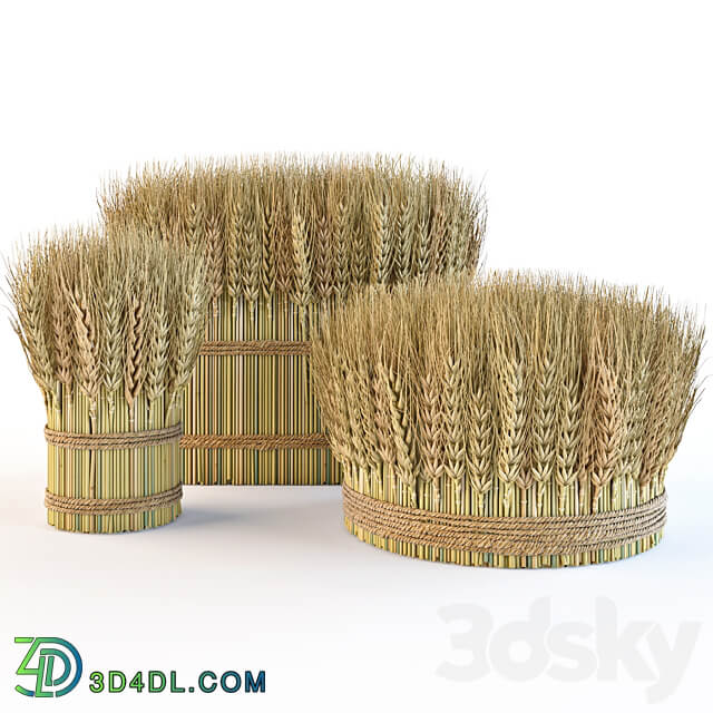 Decorative sheaves of wheat ears 2 3D Models